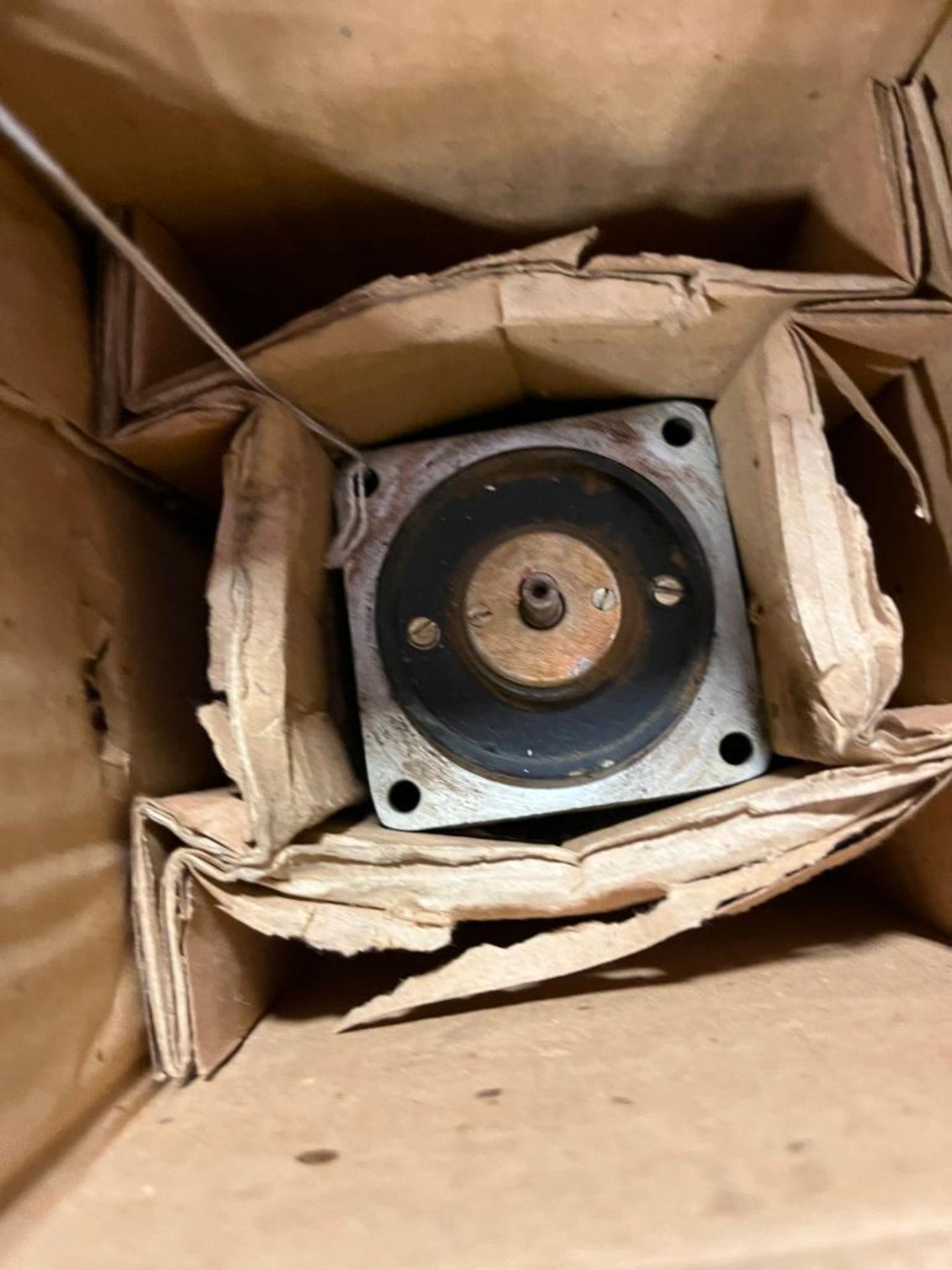Skid Consisting of Assorted Gear Motors - Image 6 of 13