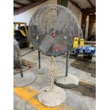 Dayton Pedestal Fan