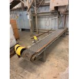 (2x) Chain Conveyors