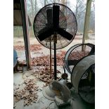 (2) Pedestal Fans