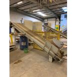 (3x) Power Incline Conveyors & (2) Safety Platforms