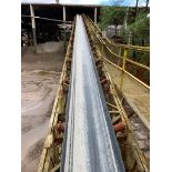 Belt Conveyor Approx. 2' W X 185' L & Hydraulic Jib