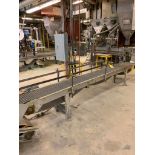 (2x) Power Chain Conveyors