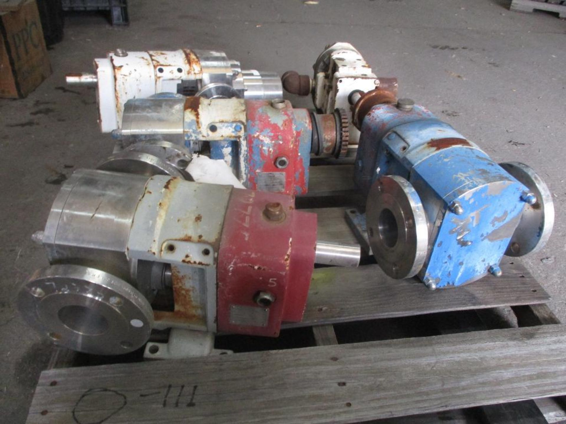 (3) Wright 3" Stainless Rotary Lobe Pumps, (1) Wright 1-1/2", (1) Wright 2" (Used) - Image 2 of 4