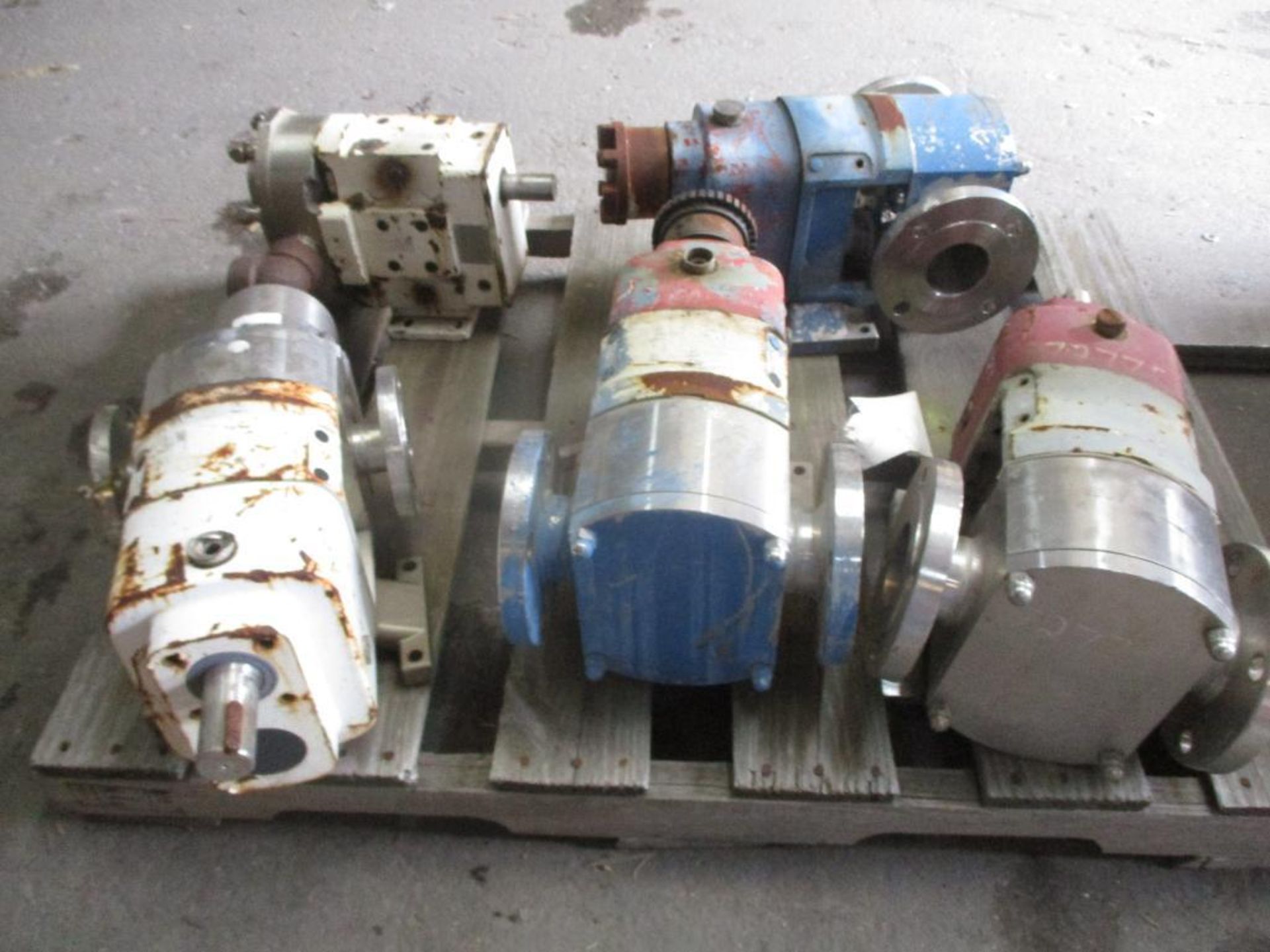 (3) Wright 3" Stainless Rotary Lobe Pumps, (1) Wright 1-1/2", (1) Wright 2" (Used) - Image 3 of 4