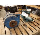 Lot of (New) Pumps; Allis Chambers 2x2-1/2, (1) 2-1/2x3 (No Tag)