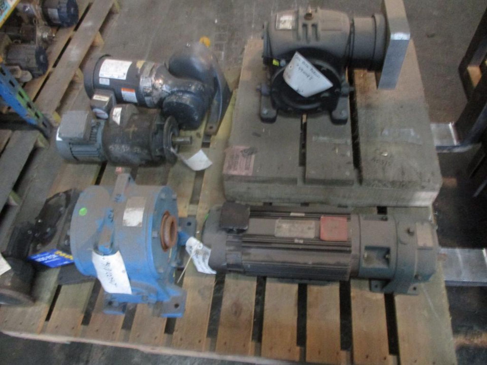 Pallet of Assorted Gear Reducers & Gear Motors