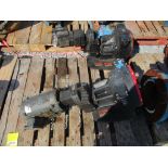 (2) Encentric Pumps