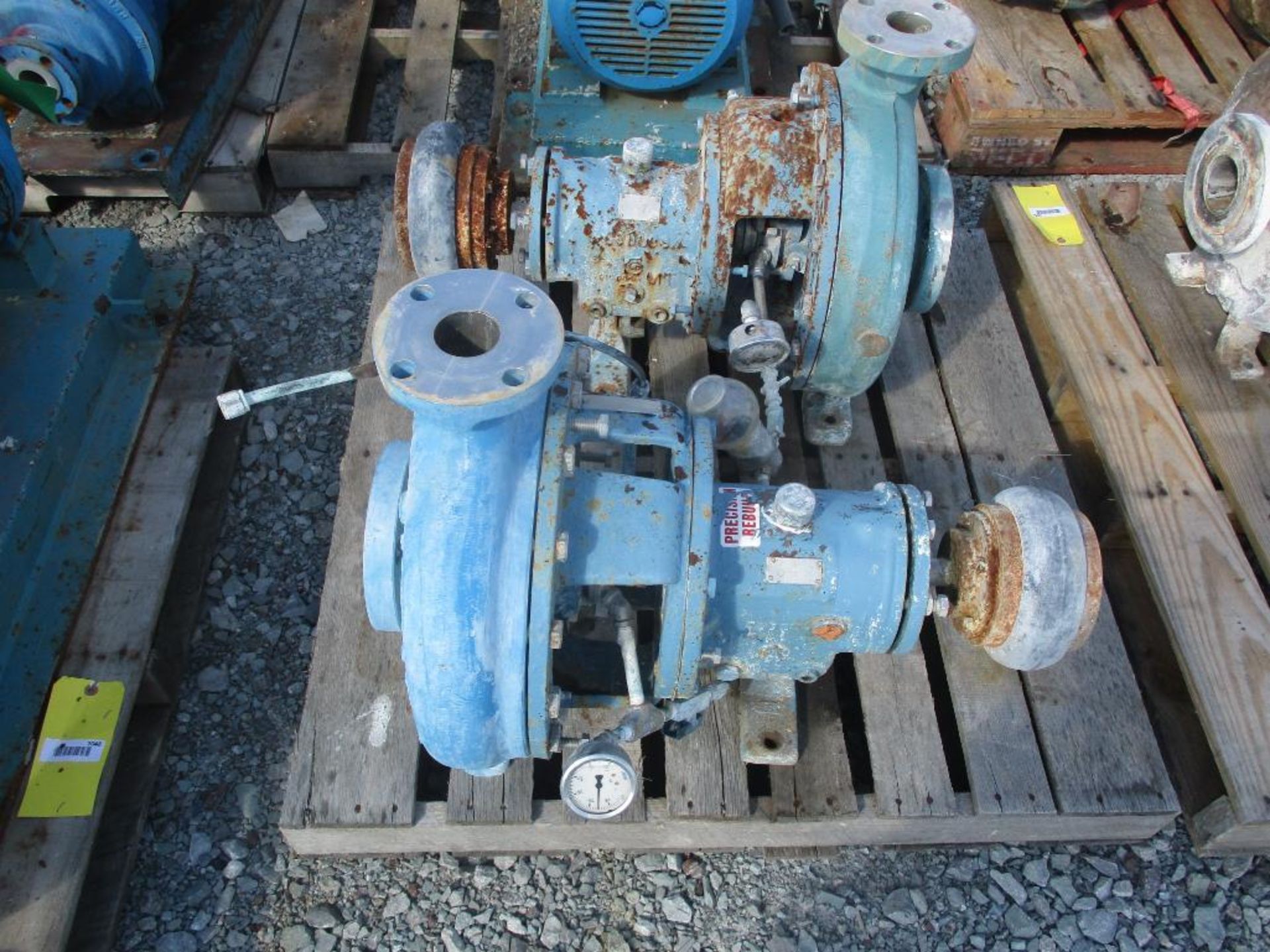 (2) Goulds 2x3x13 SS Pumps - Image 3 of 4