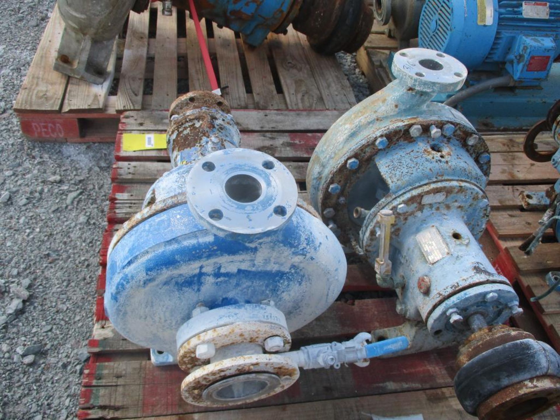 (2) Goulds 3196 2x3x13 SS Pumps - Image 3 of 4
