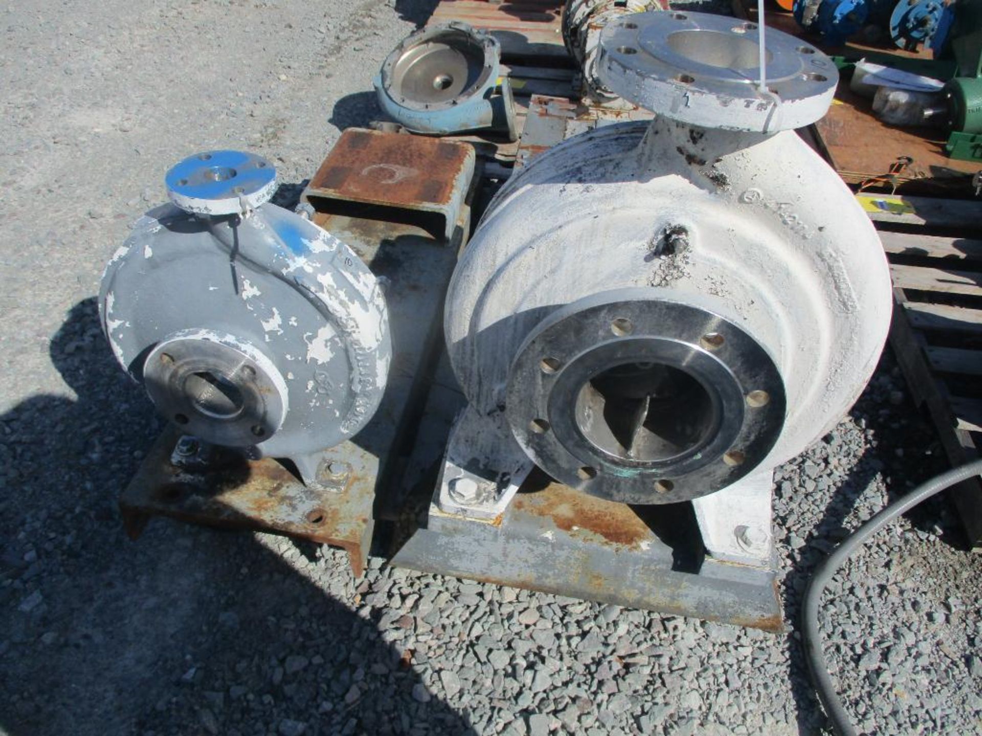 (2) Ahlstrom SS Pumps