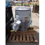 (1) Reliance Electric 100HP Vertical Motor, 460V, 3565 RPM (Used)