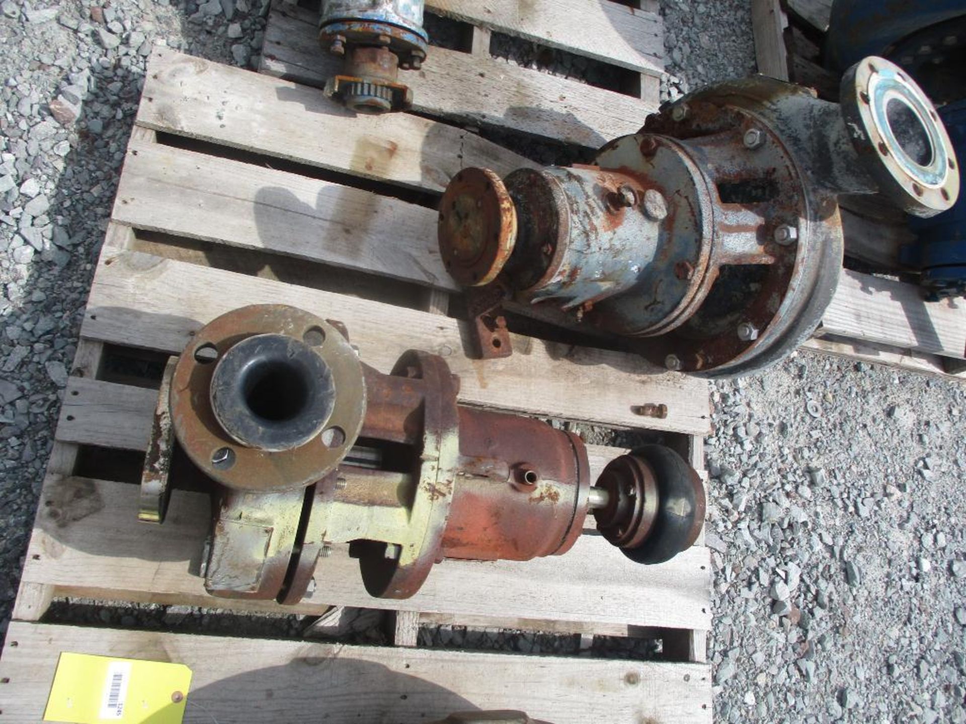 (2) Labour 316 SS Pumps