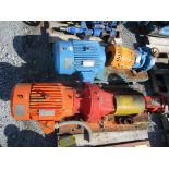 (2) SS Pumps w/ Motors