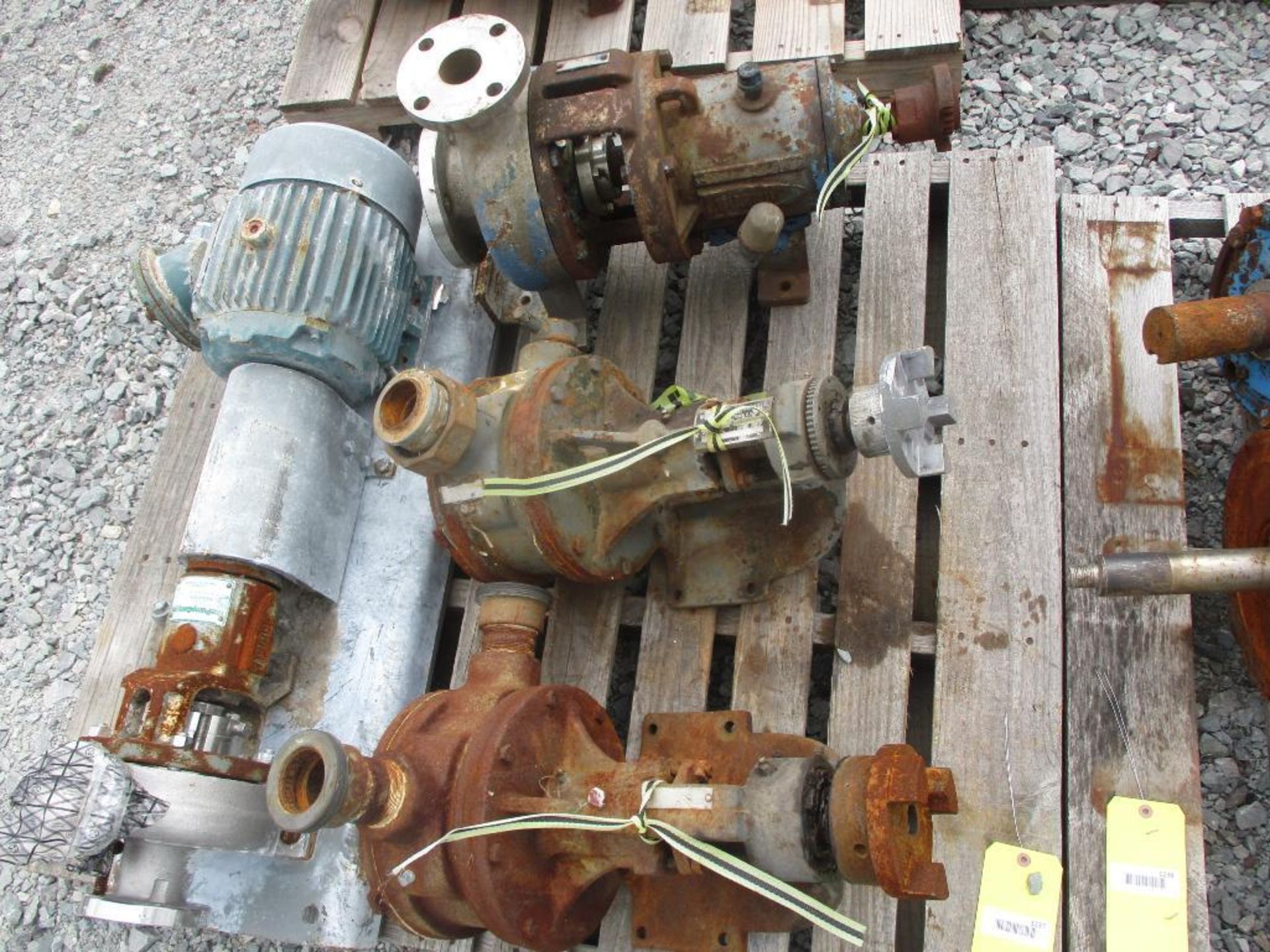 (1) Durco 1x1-1/2x6 316 SS Pump w/ 3HP Motor, (2) Viking Pumps, & (1) Durco 316 SS Pump