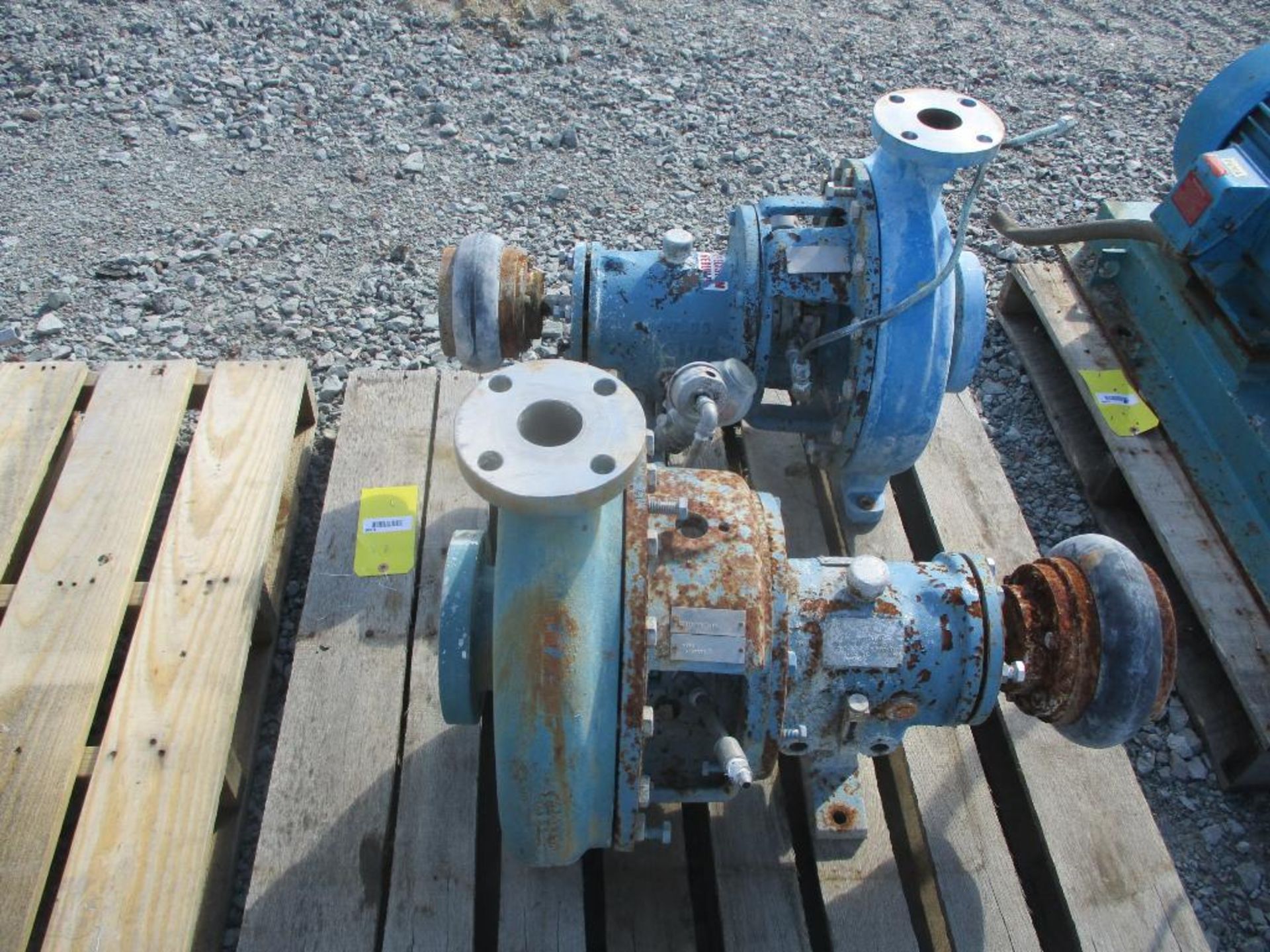 (2) Goulds 2x3x13 SS Pumps - Image 4 of 4