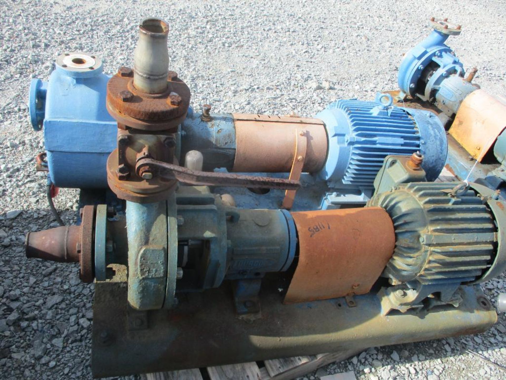 (1) Durco 1'2x3 U5 10 SS Pump w/ 20HP Motor, (1) Durco Pump w/ 15HP Motor - Image 3 of 4