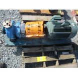 (1) Goulds SS Pump w/ 20HP Motor