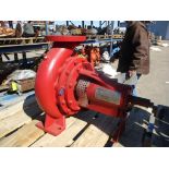 (New) CPS 2-1/2 x 3-13 Fire Pump, XA100/26