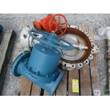 (1) FBV 20" Butterfly Valve & (2) Misc. Valves