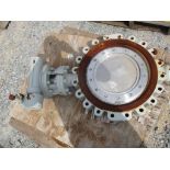 (1) FBV 20" Butterfly Valve