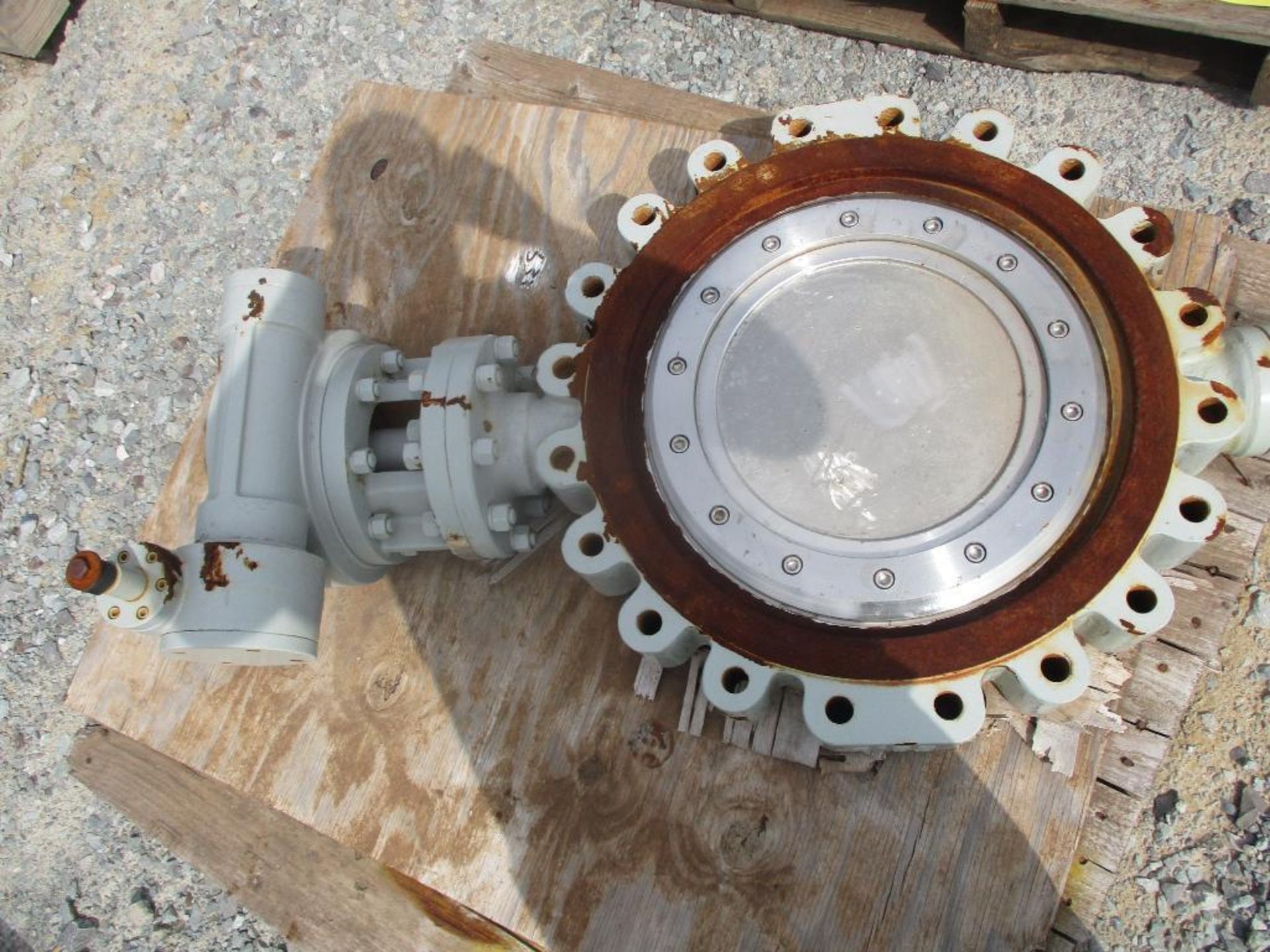 (1) FBV 20" Butterfly Valve