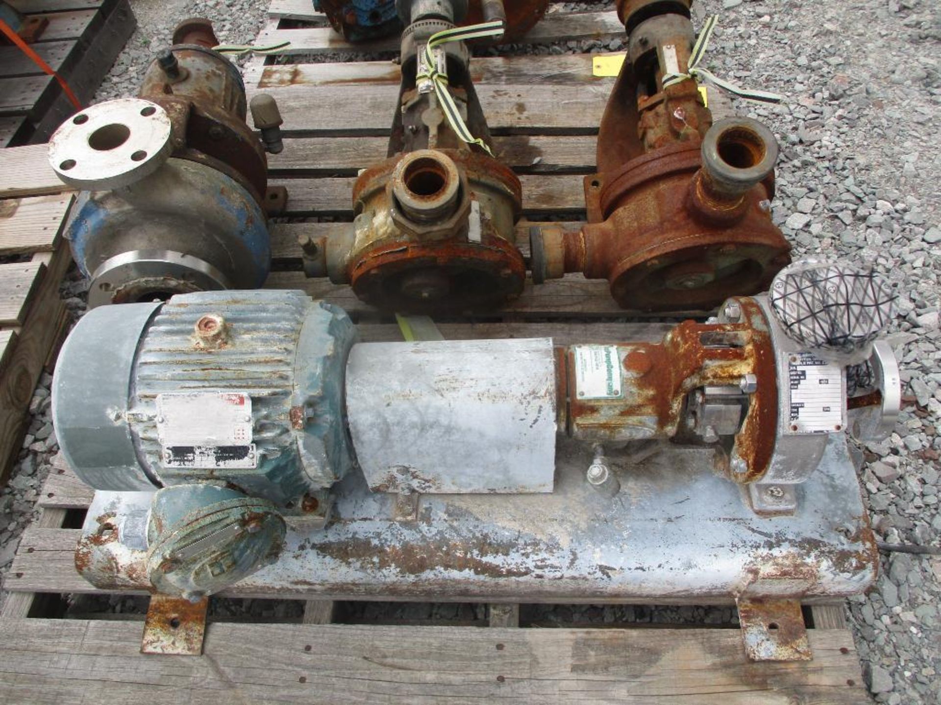 (1) Durco 1x1-1/2x6 316 SS Pump w/ 3HP Motor, (2) Viking Pumps, & (1) Durco 316 SS Pump - Image 4 of 4