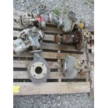 (1) Pallet of (5) Durco 316 SS Pumps & (1) Worthington Pump Case