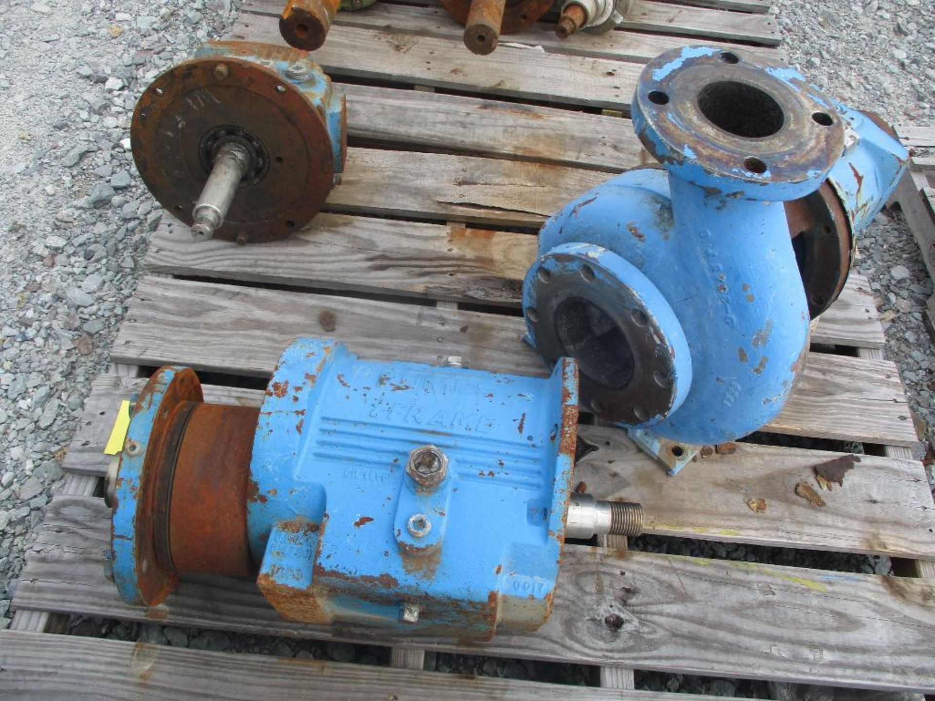 (1) Pallet of Misc. Goulds 316 Pumps & Parts - Image 4 of 4