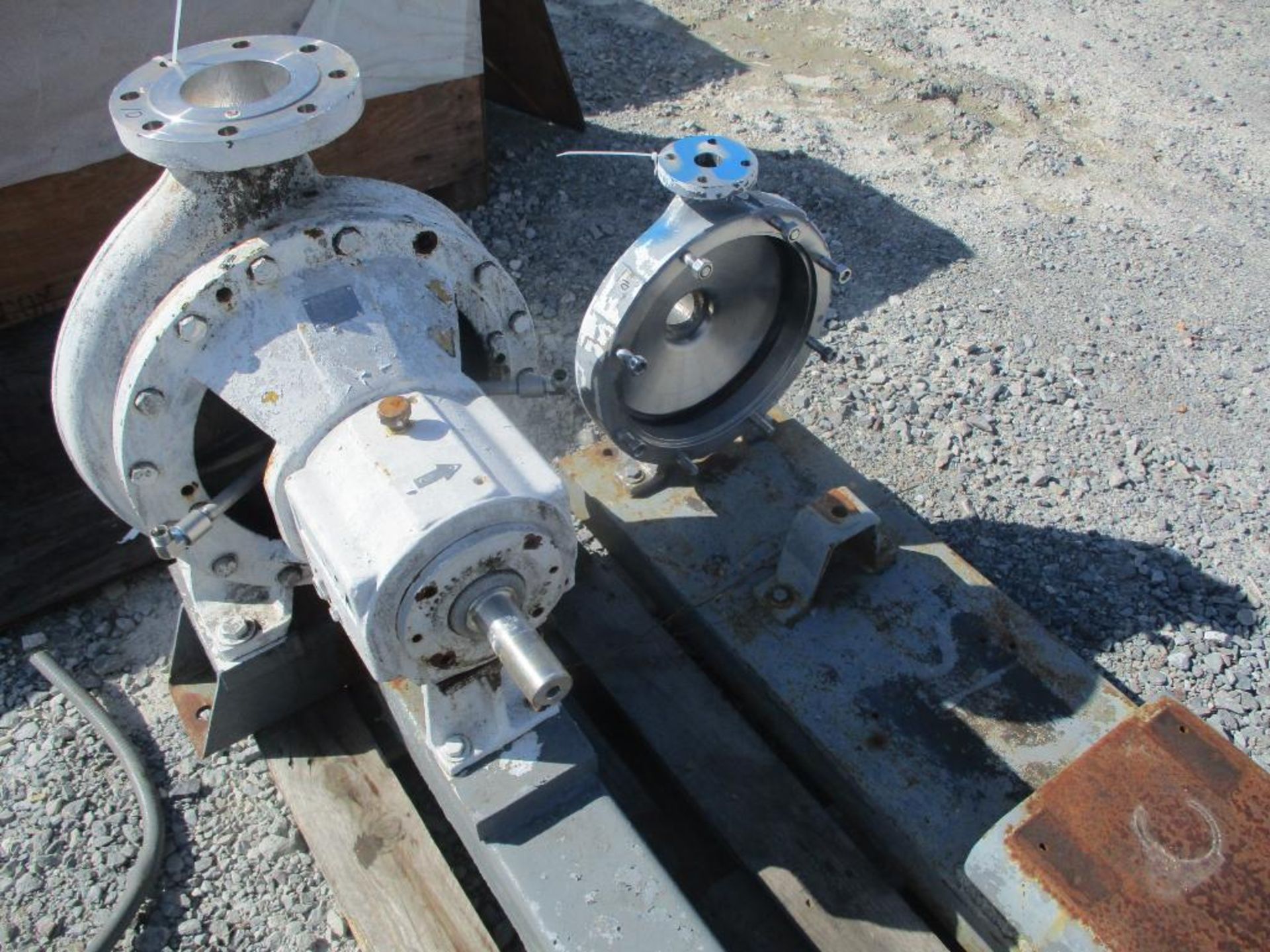 (2) Ahlstrom SS Pumps - Image 4 of 4