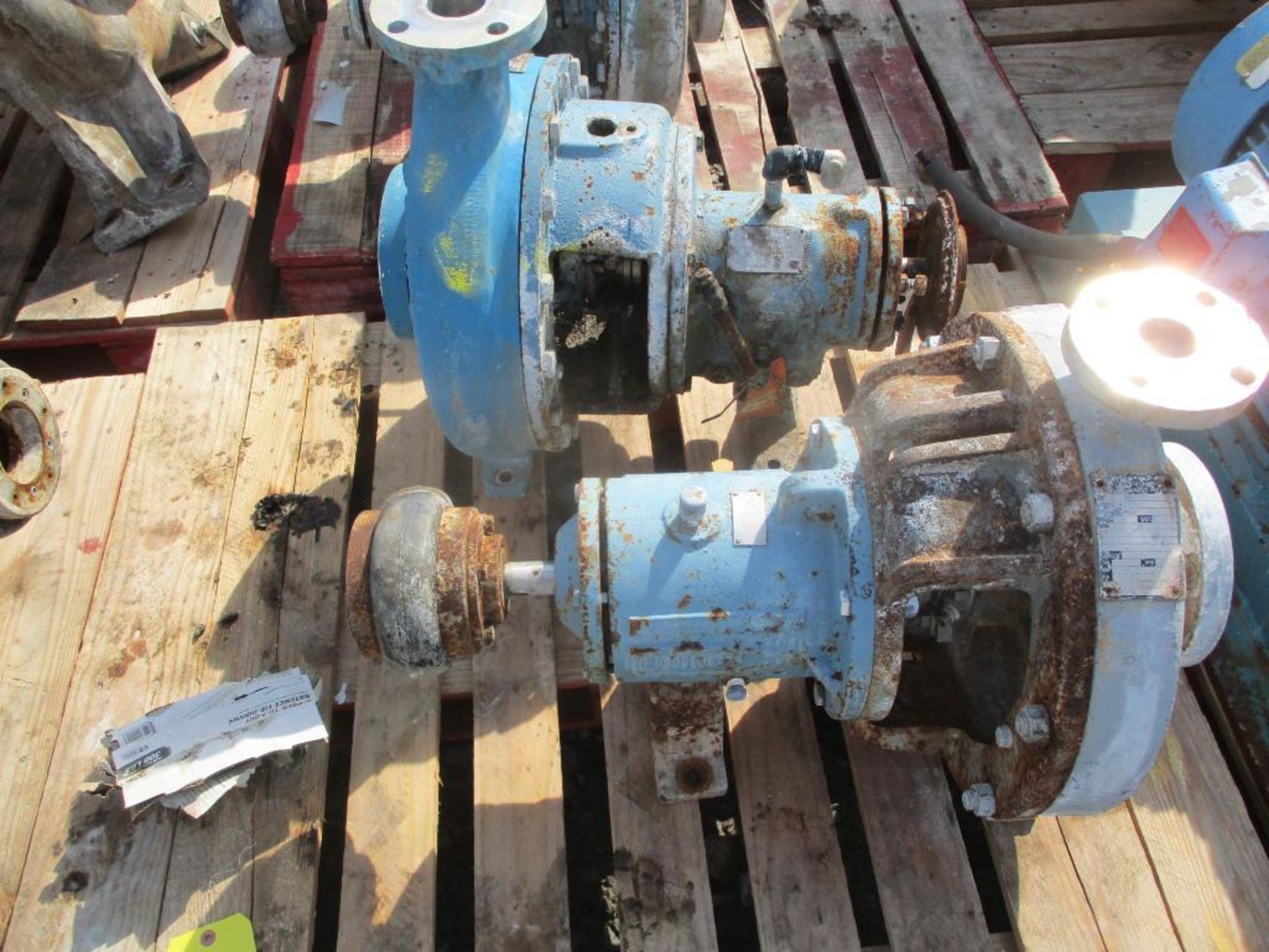 (1) Goulds 3196 2x3x13 SS Pump, (1) Durco 1'2x3x13 SS Pump - Image 2 of 5