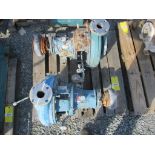 (2) Goulds 2x3x13 SS Pumps