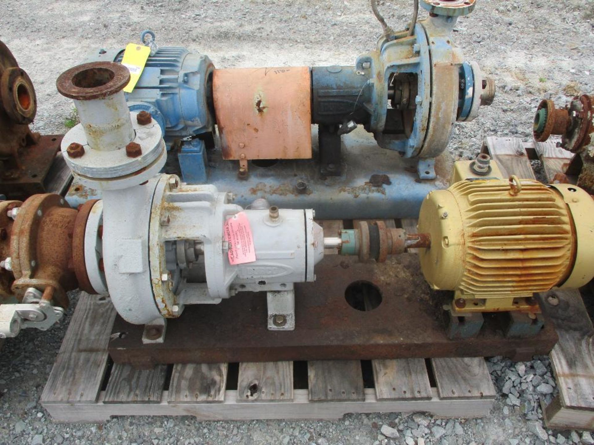 (1) Durco 3x4x10 316 Pump w/ 10HP Motor & (1) Durco 2x3x13 316 Pump w/ 7.5HP Motor - Image 3 of 4