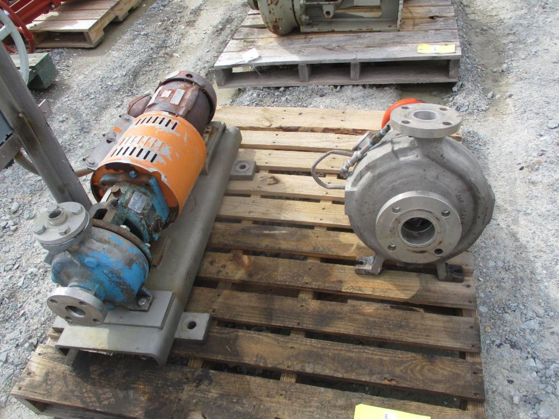 (1) Goulds 1x1-1/2x6 316 SS Pump w/ 1HP Motor, (1) Durco 2x3x10A 316 SS - Image 2 of 4