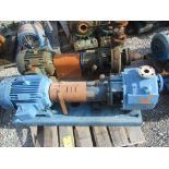 (1) Durco 1'2x3 U5 10 SS Pump w/ 20HP Motor, (1) Durco Pump w/ 15HP Motor