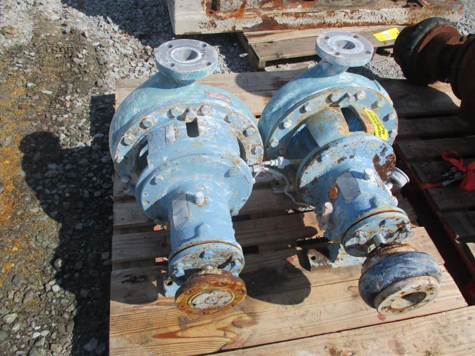 (2) Goulds 3152 2x3x13 SS Pumps - Image 3 of 4