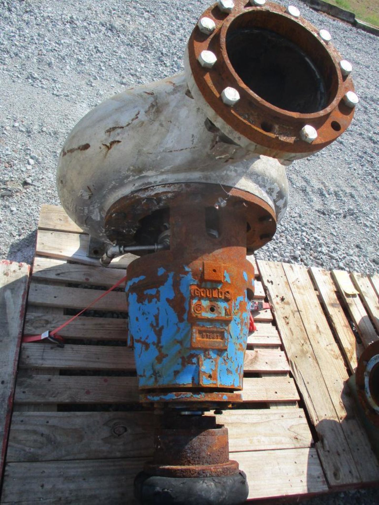 (1) Goulds 3175 SS Pump, 12x14x18 - Image 4 of 4