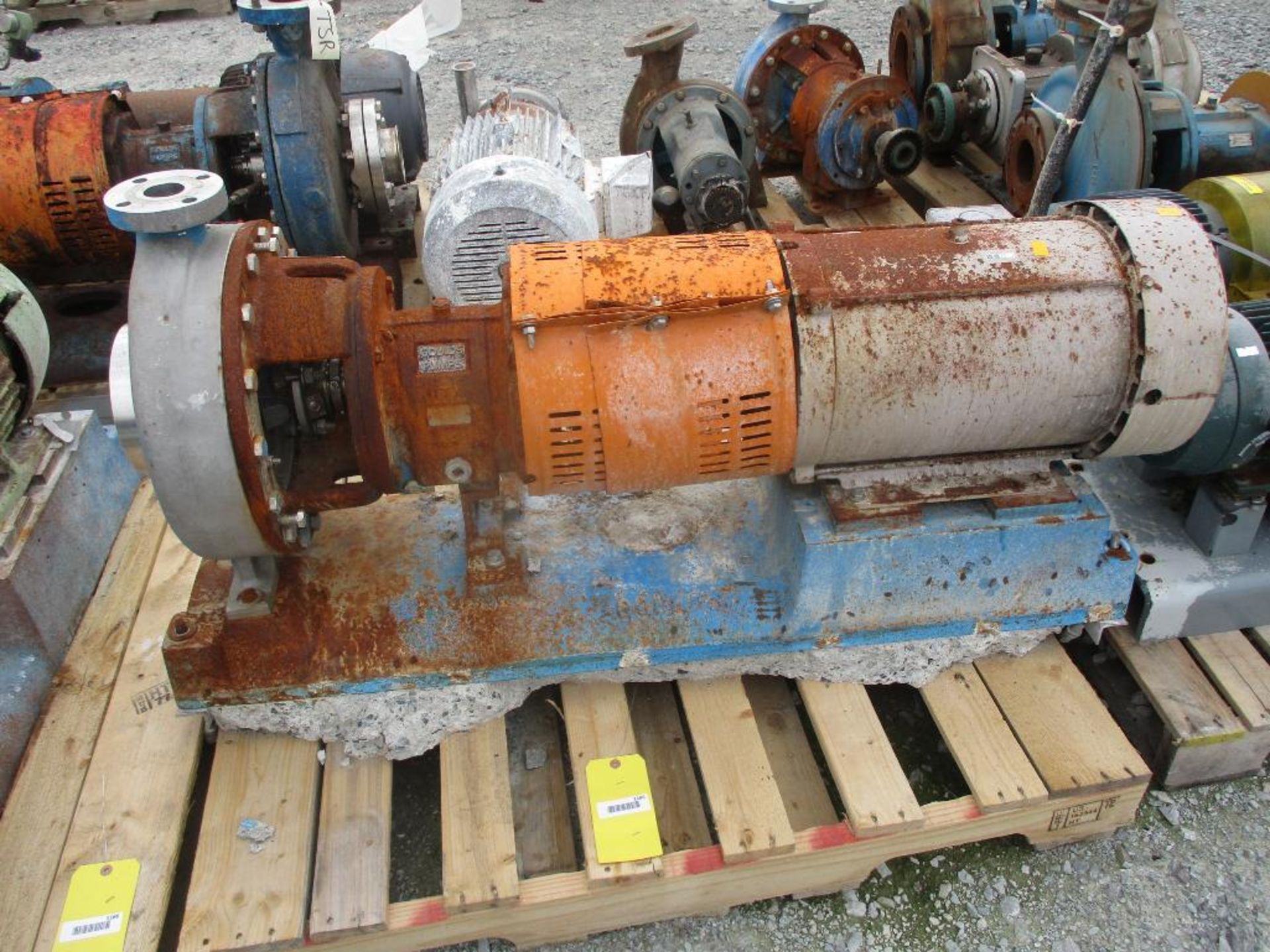 (1) Goulds 1-1/2x3x13 SS Pump w/15HP Motor - Image 2 of 3