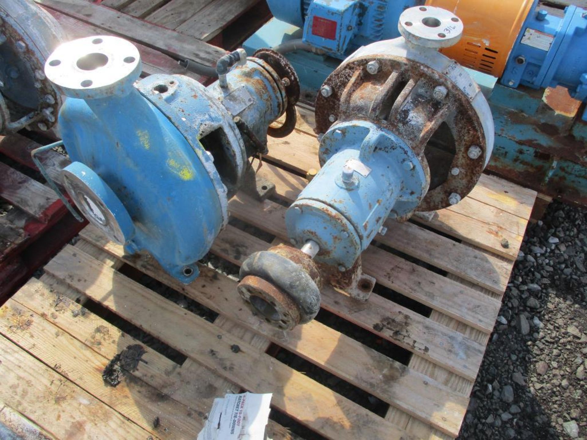 (1) Goulds 3196 2x3x13 SS Pump, (1) Durco 1'2x3x13 SS Pump