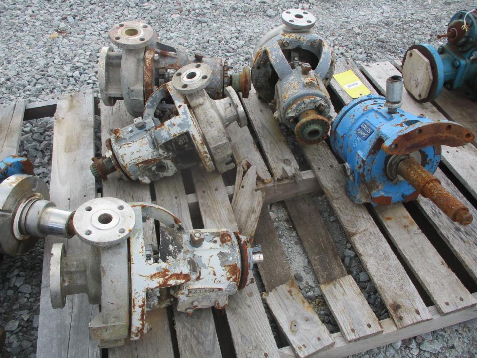 (4) Durco 316 SS Pumps & (7) Goulds Pumps - Image 4 of 4