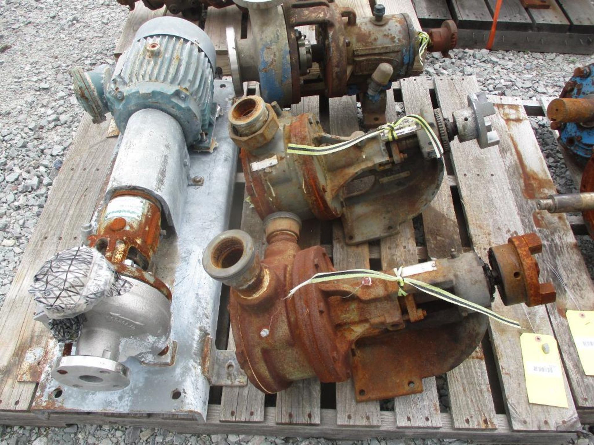 (1) Durco 1x1-1/2x6 316 SS Pump w/ 3HP Motor, (2) Viking Pumps, & (1) Durco 316 SS Pump - Image 3 of 4