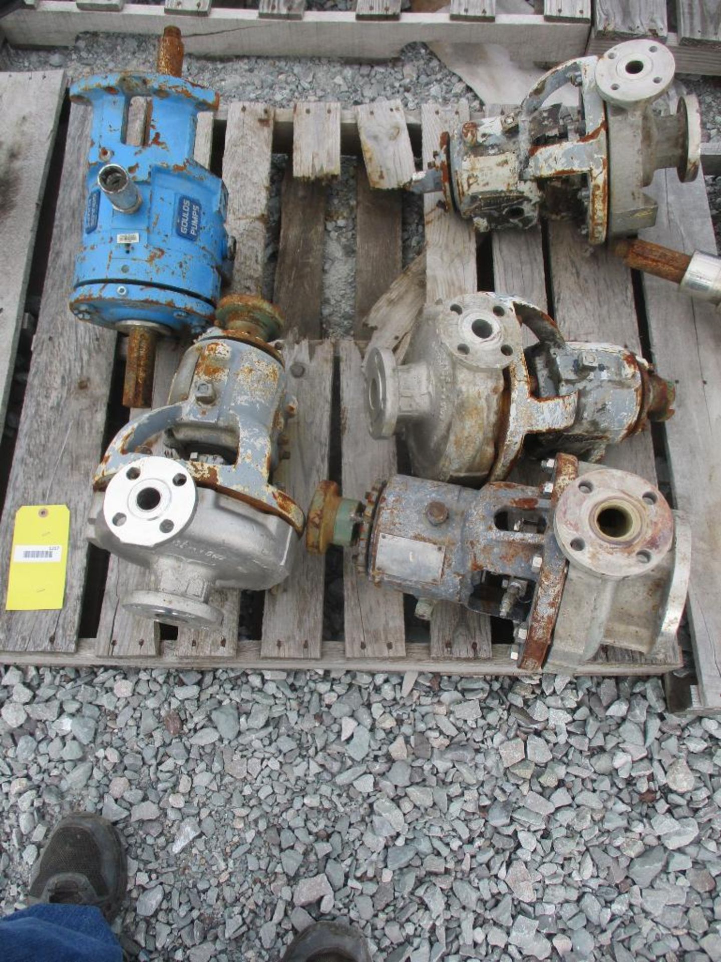 (4) Durco 316 SS Pumps & (7) Goulds Pumps