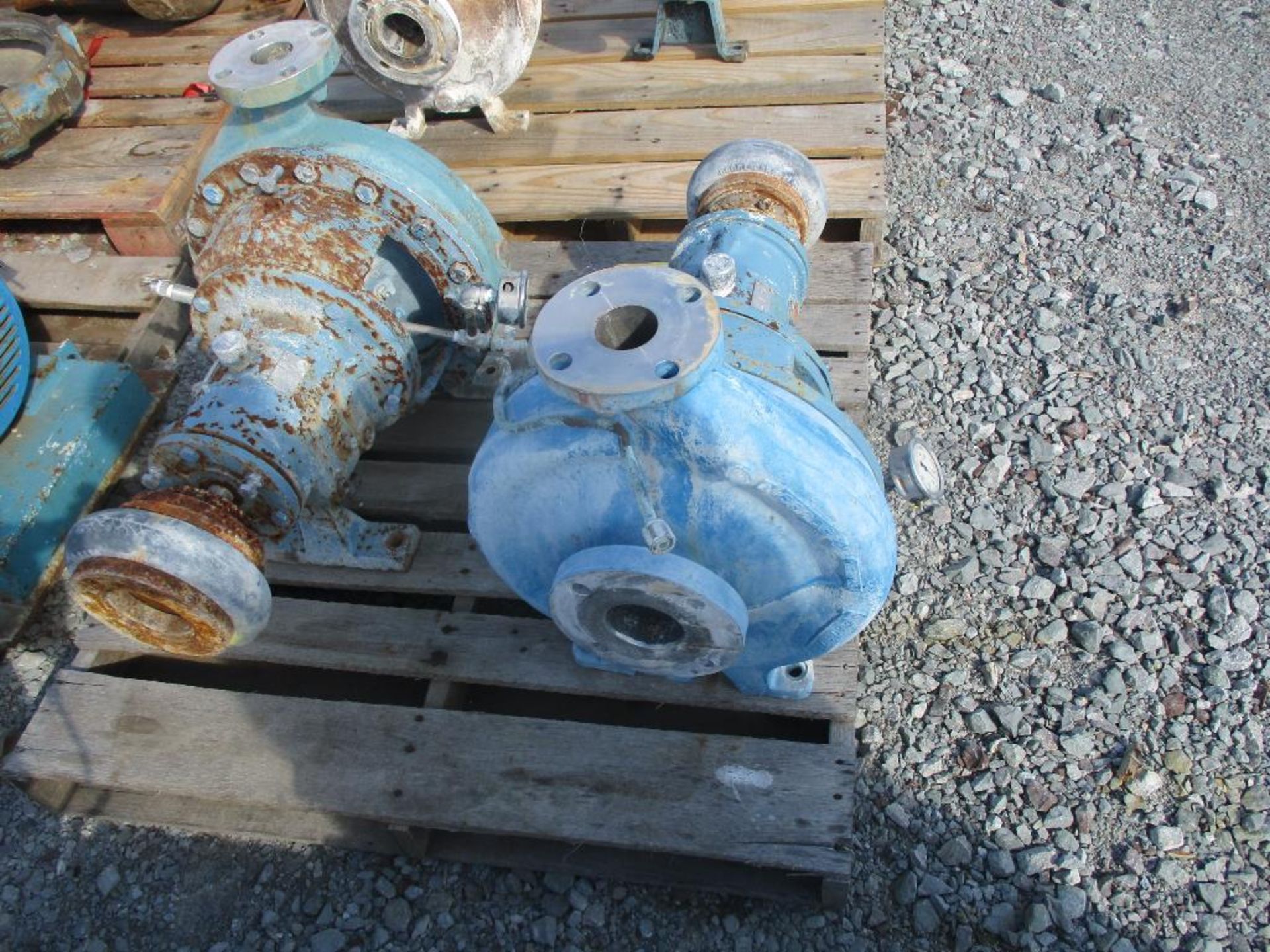 (2) Goulds 2x3x13 SS Pumps - Image 2 of 4