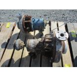 (2) Durco SS Pumps