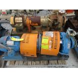 (1) Goulds 1x2x10 Pump w/ 3HP Motor & (1) Durco 1x2x10A 316 Pump w/ 3HP Motor