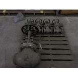 (5) Manual Gate Valves; (4) 2" & (1) 6" (New)