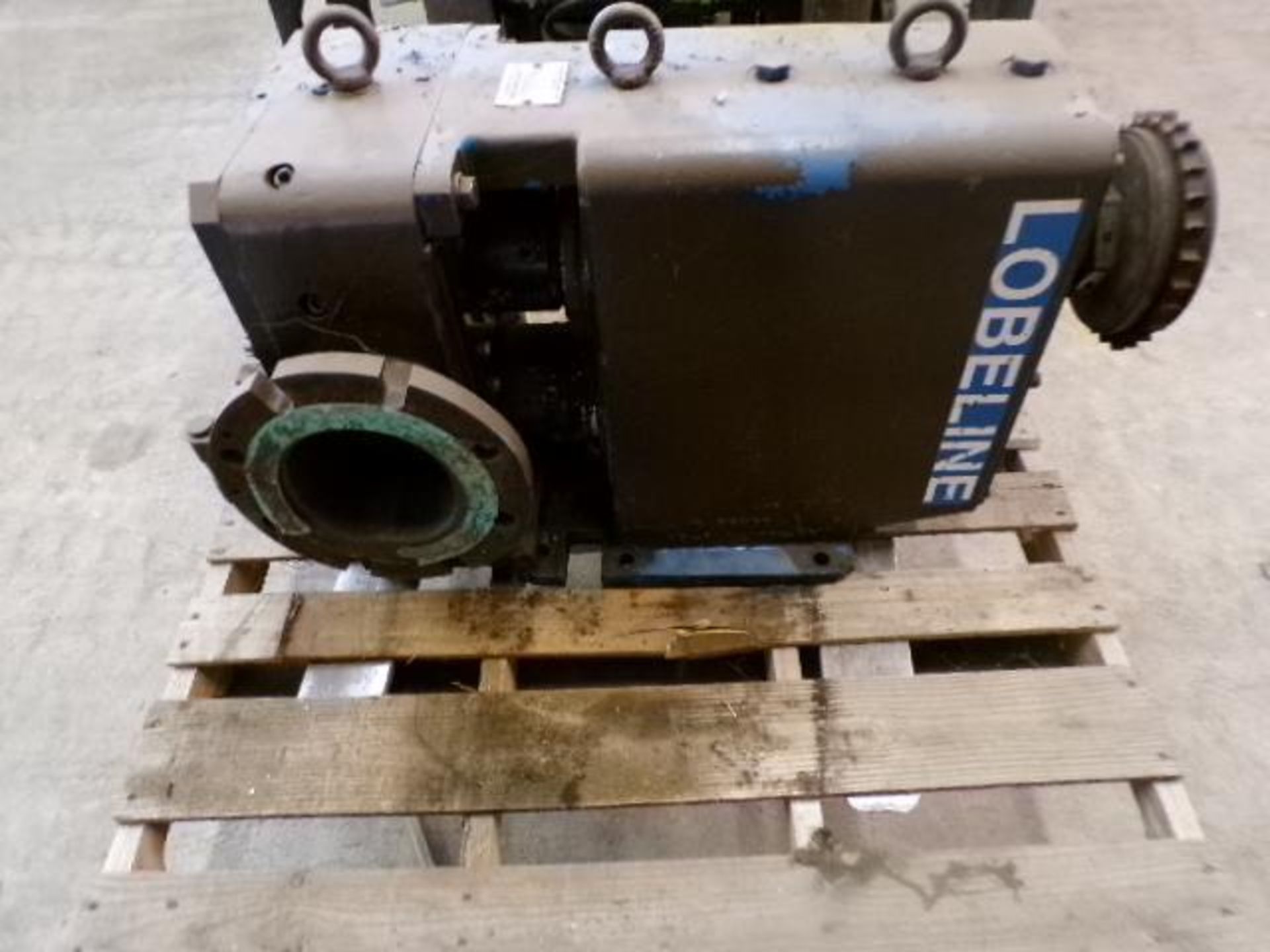 Lobeline Positive Displacement Pump, Model MR160MM (Used)