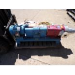 Pallet w/ (2) Cavity Pumps (Used)