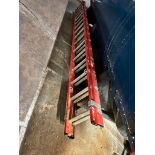 Louisville Extension Ladder