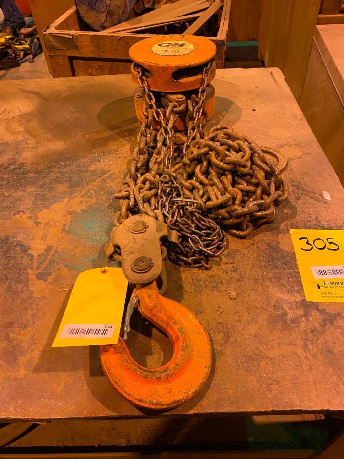 CM Series 622 5-Ton Chain Hoist (Located on second floor of the plant)